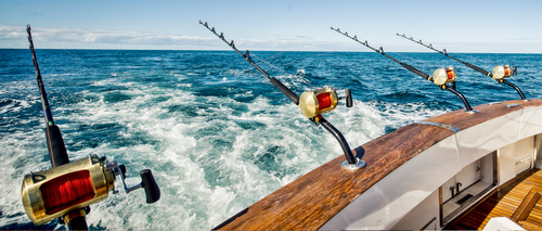 Specials Shimano Tiagra 50WLRSA Overhead Game Reel - Image 4